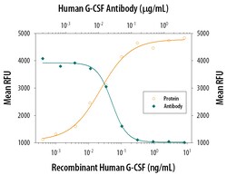 Human G-CSF Antibody, R D Systems 25&mu;g; Unlabeled:Antibodies, Polyclonal