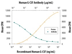 Human G-CSF Antibody, R D Systems:Antibodies:Primary Antibodies