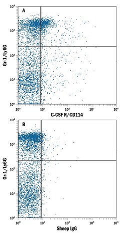 Mouse G-CSFR/CD114 APC-conjugated Antibody, R D Systems 100 Tests | Buy Online | R&D Systems | Fisher Scientific