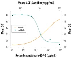Mouse GDF-5/BMP-14 Antibody, R D Systems 500ug; Unlabeled:Antibodies, Monoclonal