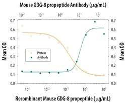 Mouse GDF-8/Myostatin Propeptide Antibody, R D Systems 100 &mu;g | Buy Online | R&D Systems | Fisher Scientific