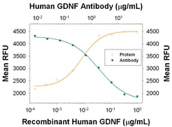 Human GDNF Antibody, R D Systems 500&mu;g; Unlabeled:Antibodies, Monoclonal