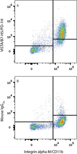 Human VISTA/B7-H5/PD-1H Antibody, R D Systems 25 &mu;g | Buy Online | R&D Systems | Fisher Scientific