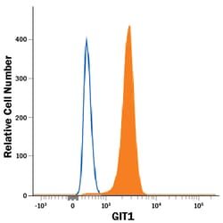 Human/Mouse/Rat GIT1 Antibody, R D Systems 100&mu;g; Unlabeled:Antibodies,