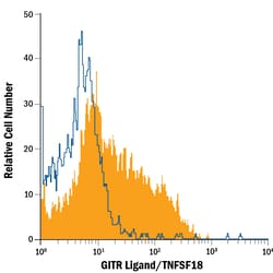 Human GITR Ligand/TNFSF18 Fluorescein-conjugated Antibody, R D Systems