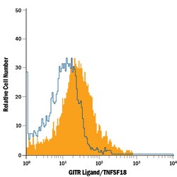 Human GITR Ligand/TNFSF18 Alexa Fluor 700-conjugated Antibody, R D Systems