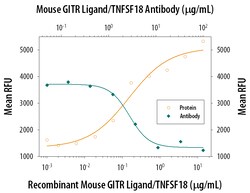 Mouse GITR Ligand/TNFSF18 Antibody, R D Systems 500ug; Unlabeled:Antibodies,
