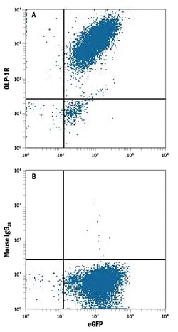 Human GLP-1R PE-conjugated Antibody, R D Systems 25 Tests; PE:Antibodies,