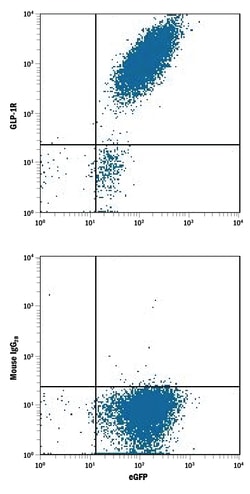 Human GLP-1R Antibody, R D Systems 25&mu;g; Unlabeled:Antibodies, Monoclonal