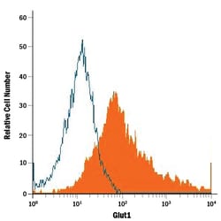 Human Glut1 Antibody, R D Systems 25&mu;g; Unlabeled:Antibodies, Monoclonal