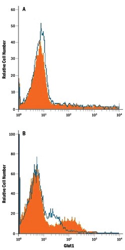 Human Glut1 Antibody, R D Systems 25&mu;g; Unlabeled:Antibodies, Monoclonal