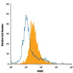 Human Glut2 PE-conjugated Antibody, R D Systems 100 Tests; PE:Antibodies,