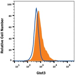 Human Glut3 Antibody, R D Systems 25&mu;g; Unlabeled:Antibodies, Monoclonal