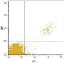 Human Glycoprotein V/CD42d Antibody, R D Systems 100&mu;g; Unlabeled:Antibodies,