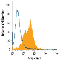 Human Glypican 1 Antibody, R D Systems 100&mu;g; Unlabeled:Antibodies,