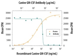 Canine GM-CSF Antibody, R D Systems 100 &mu;g | Buy Online | R&D Systems | Fisher Scientific