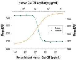 Human GM-CSF Antibody, R D Systems 25&mu;g; Unlabeled:Antibodies, Polyclonal