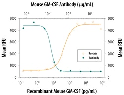 Mouse GM-CSF Antibody, R D Systems 100&mu;g; Unlabeled:Antibodies, Polyclonal