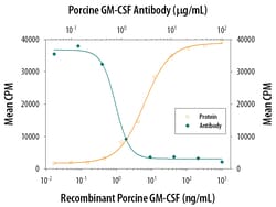 Porcine GM-CSF Antibody, R D Systems 100&mu;g; Unlabeled:Antibodies, Polyclonal