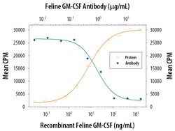 Feline GM-CSF Antibody, R D Systems 25&mu;g; Unlabeled:Antibodies, Polyclonal