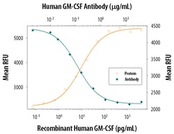 Human GM-CSF Antibody, R D Systems:Antibodies:Primary Antibodies