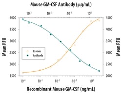 Mouse GM-CSF Antibody, R D Systems 25&mu;g; Unlabeled:Antibodies, Monoclonal
