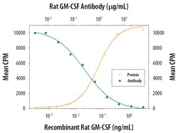 Rat GM-CSF Antibody, R D Systems 500ug; Unlabeled:Antibodies, Monoclonal