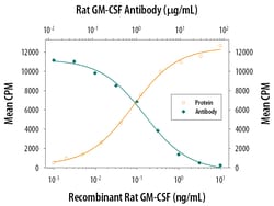 Rat GM-CSF Antibody, R D Systems 25&mu;g; Unlabeled:Antibodies, Monoclonal