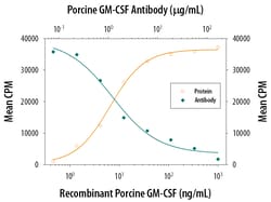 Porcine GM-CSF Antibody, R D Systems 500ug; Unlabeled:Antibodies, Monoclonal
