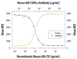 Mouse GM-CSF R alpha Antibody, R D Systems:Antibodies:Primary Antibodies