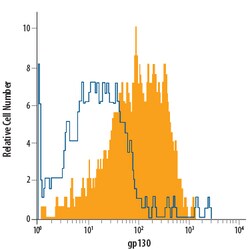 Human gp130 Fluorescein-conjugated Antibody, R D Systems 25 Tests; Fluorescein:Antibodies,