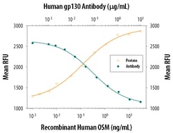Human gp130 Antibody, R D Systems:Antibodies:Primary Antibodies