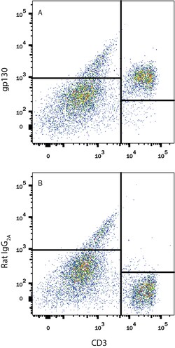 Mouse gp130 Antibody, R D Systems 25 &mu;g | Buy Online | R&D Systems | Fisher Scientific