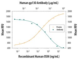 Human gp130 Antibody, R D Systems 500μg:Antibodies, Monoclonal
