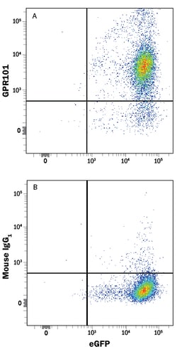 Human GPR101 Antibody, R D Systems 100&mu;g; Unlabeled:Antibodies, Monoclonal