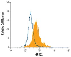 Human GPR22 Antibody, R D Systems 100ug; Unlabeled:Antibodies, Monoclonal