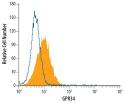 Human GPR34 Antibody, R D Systems 100ug; Unlabeled:Antibodies, Monoclonal