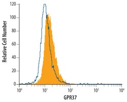 Human GPR37 Antibody, R D Systems 100ug; Unlabeled:Antibodies, Monoclonal