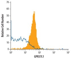 Human GPR37L1 Antibody, R D Systems 100ug; Unlabeled:Antibodies, Monoclonal