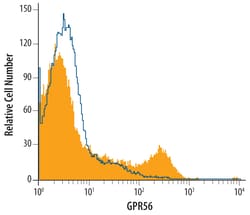 Human GPR56 Antibody, R D Systems 100&mu;g; Unlabeled:Antibodies, Polyclonal