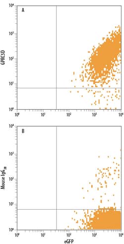 Human GPRC5D APC-conjugated Antibody, R D Systems 100 Tests; APC:Antibodies,