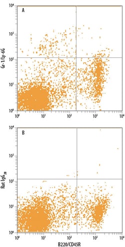 Mouse Gr-1/Ly-6G Fluorescein-conjugated Antibody, R D Systems 25 Tests;
