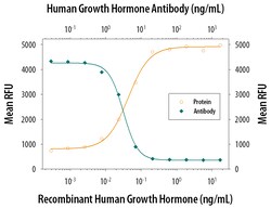 Human/Mouse/Rat Growth Hormone Antibody, R D Systems 100&mu;g; Unlabeled:Antibodies,