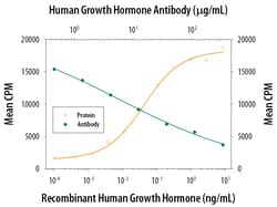 Human Growth Hormone Antibody, R D Systems 25&mu;g; Unlabeled:Antibodies,