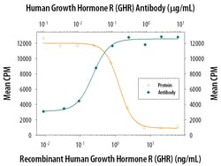 Human Growth Hormone R/GHR Antibody, R D Systems 25&mu;g; Unlabeled:Antibodies,