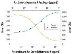 Rat Growth Hormone R/GHR Antibody, R D Systems 500ug; Unlabeled:Antibodies,