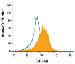 Human/Mouse/Rat GSK-3 alpha/beta Antibody, R D Systems 25&mu;g; Unlabeled:Antibodies,