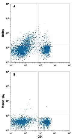 Human Helios Antibody, R D Systems 100 &mu;g | Buy Online | R&D Systems | Fisher Scientific