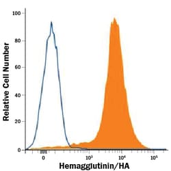 HA Tag Antibody, R D Systems:Antibodies:Primary Antibodies