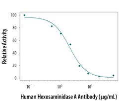 Human Hexosaminidase A/HEXA Antibody, R D Systems 25&mu;g; Unlabeled:Antibodies,
